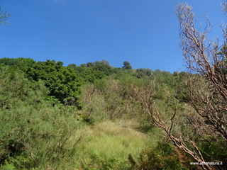 nte Rinatu-15-09-2019 10-30-32